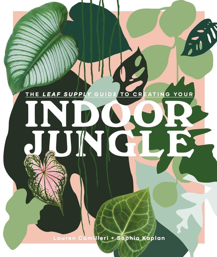 The Leaf Supply Guide to Creating Your Own Indoor Jungle