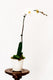 Housewarming Curated Collection