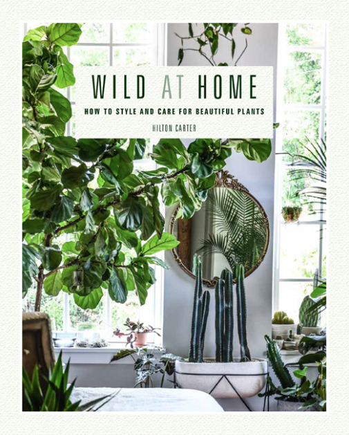 Wild at Home by Hilton Carter