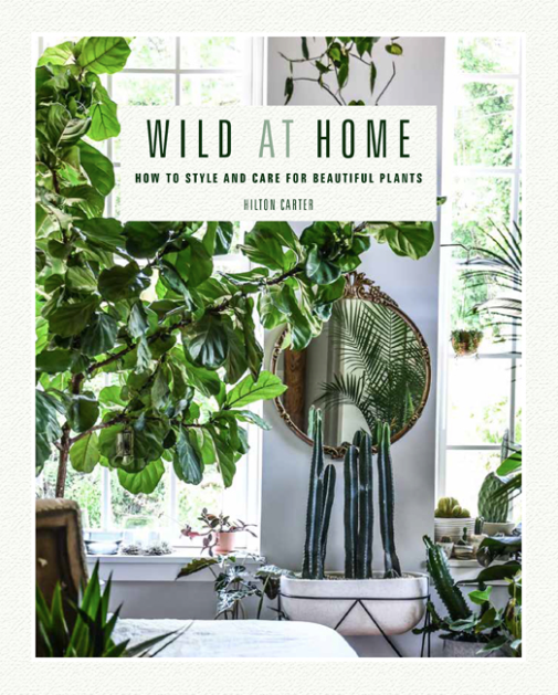 hilton carter fiddle leaf fig Wild at Home by Hilton Carter –Floreat