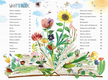 The Big Book of Blooms by Yuval Zommer