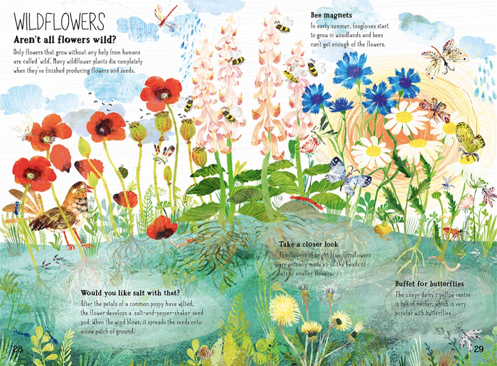 The Big Book of Blooms by Yuval Zommer