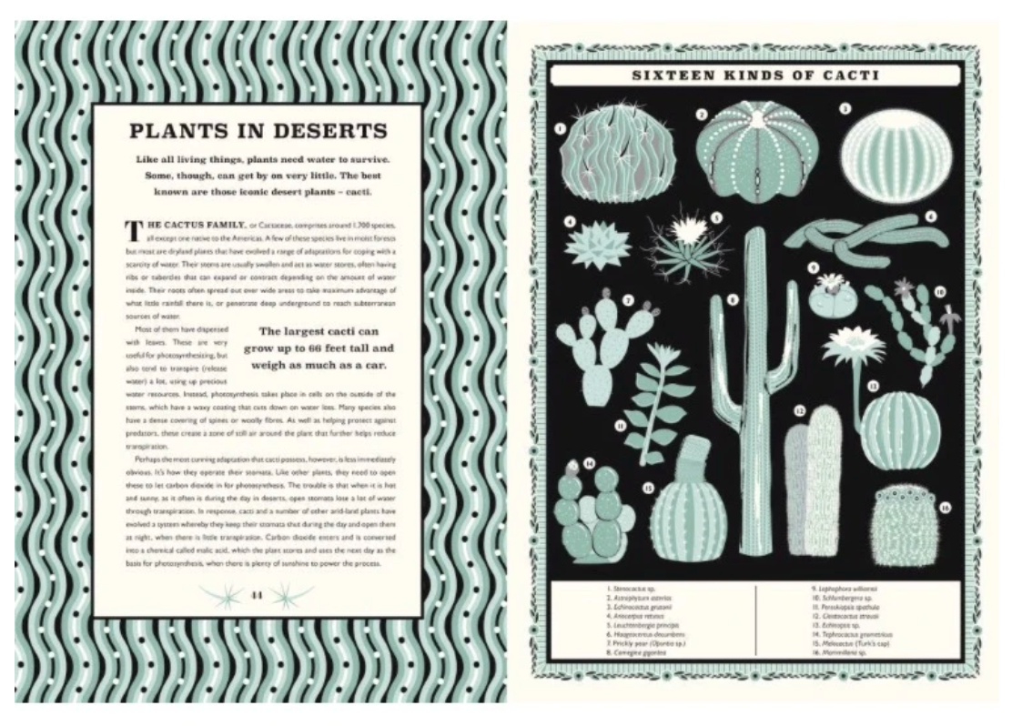 A World of Plants by James Brown and Martin Jenkins